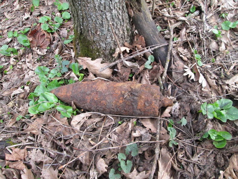 Результат пошуку зображень за запитом "знайшли снаряд у лісі"