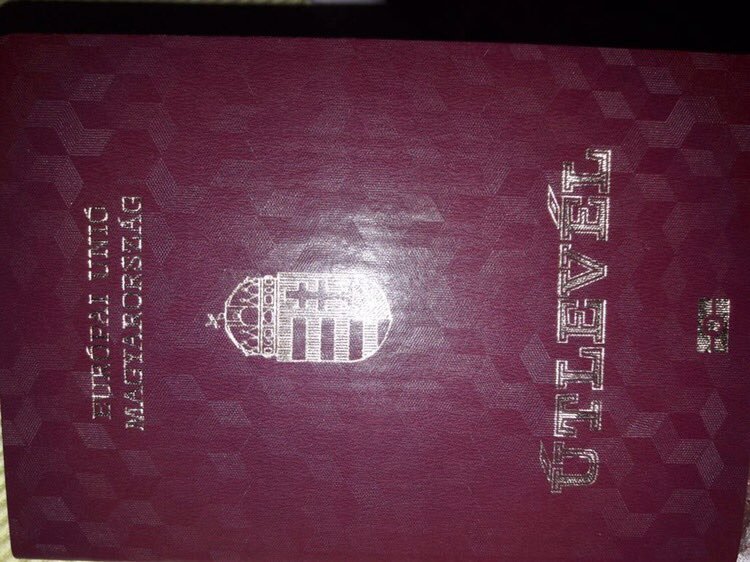 У затриманого закарпатського митника виявили паспорт громадянина Угорщини та сотні тисяч євро / ВІДЕО